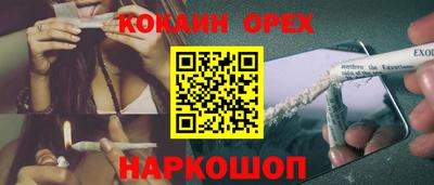 крисы Волгодонск