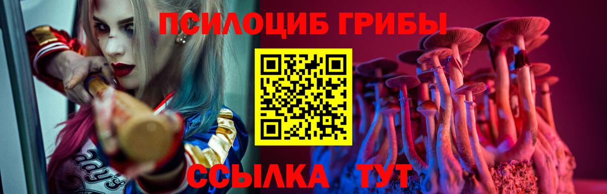 Галлюциногенные грибы Psilocybine cubensis Трёхгорный