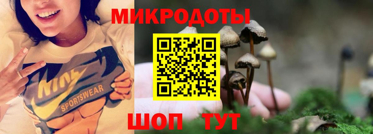 Псилоцибиновые грибы мицелий  Вход с VPN  Трёхгорный 